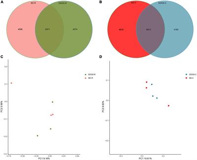 Impact of feeding dried distillers’ grains with solubles diet on microbiome and metabolome of ruminal and cecal contents in Guanling yellow cattle